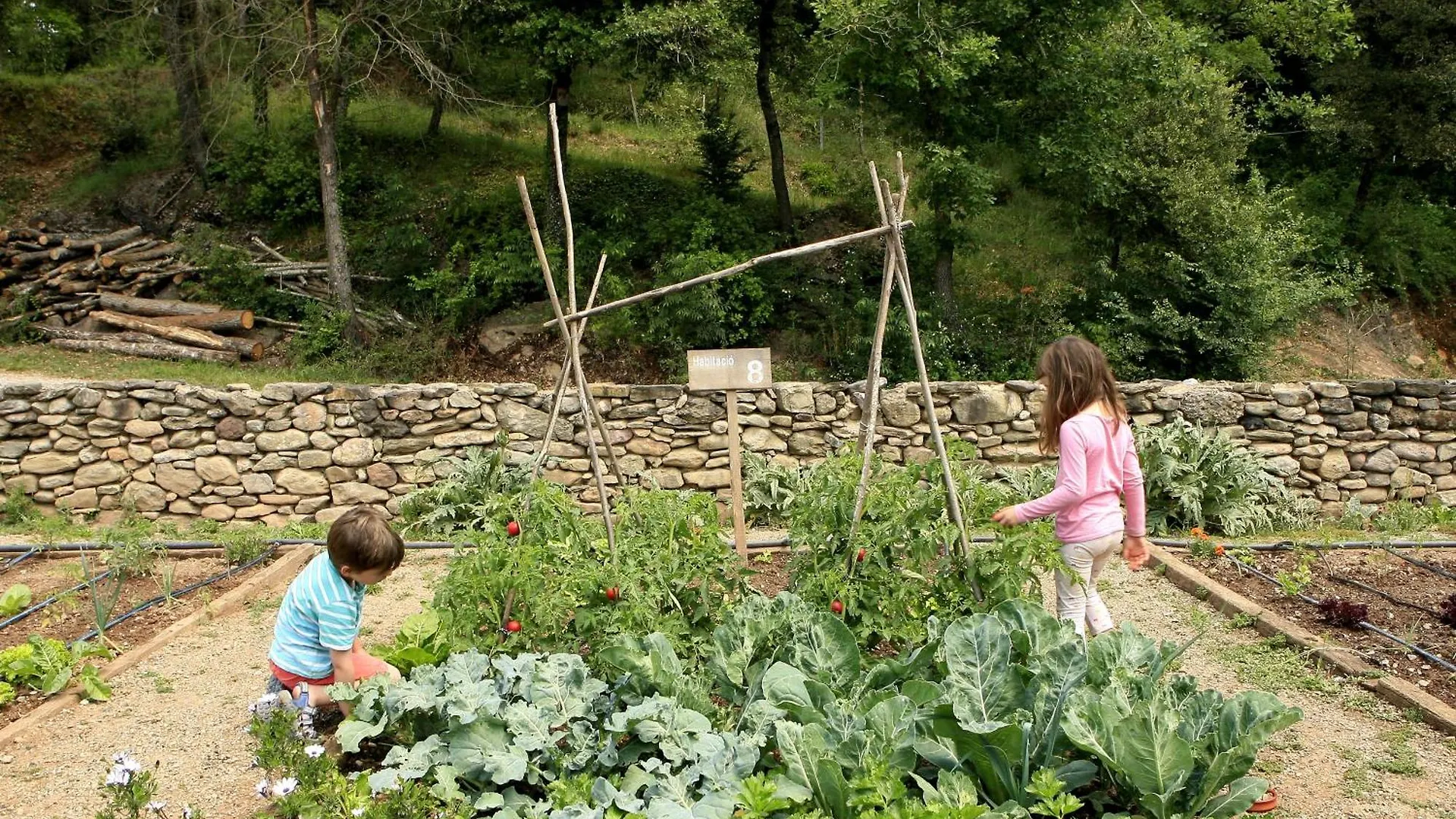 Casa Rural Mas Garganta La Pinya Séjour à la campagne