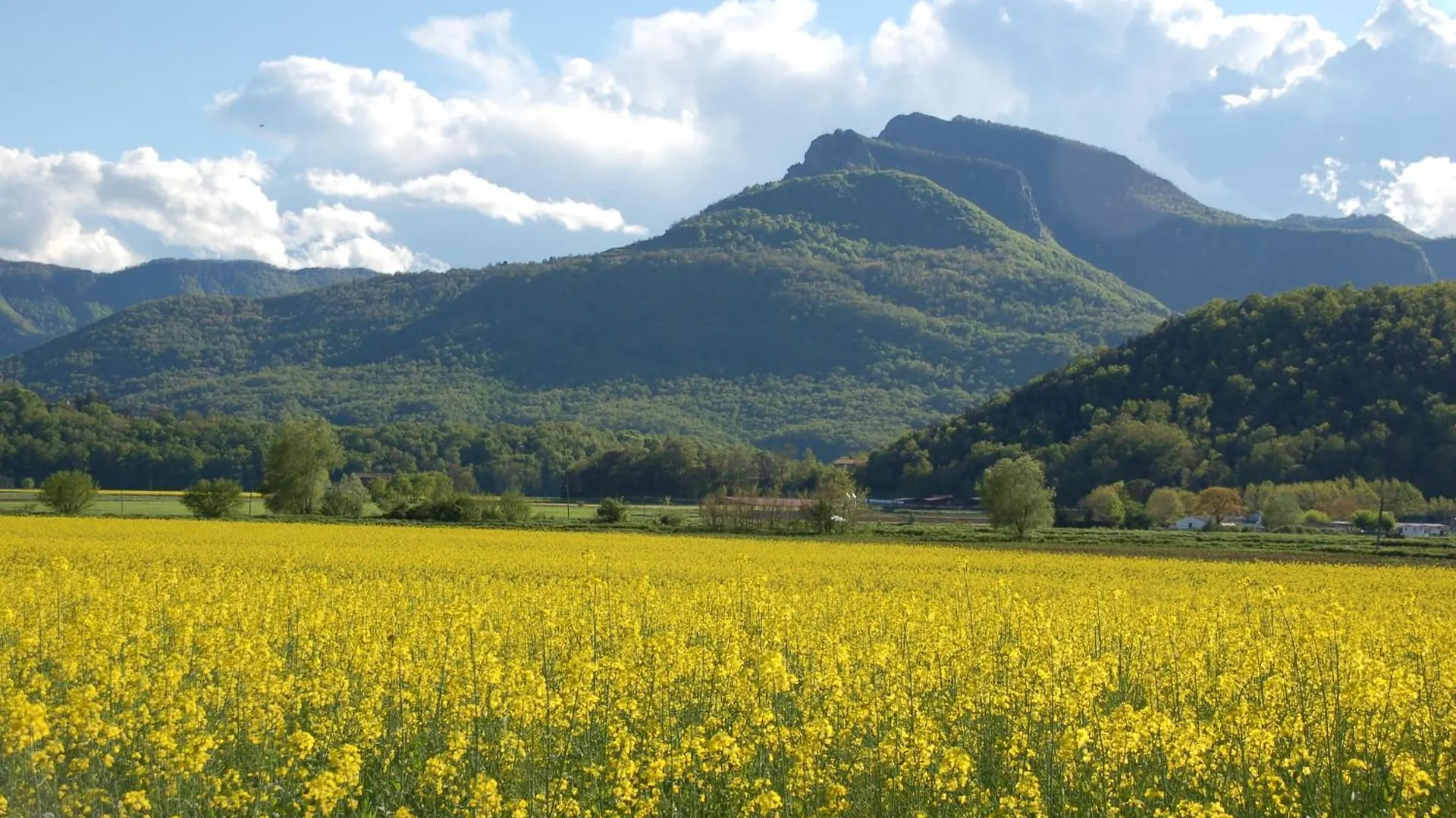 Casa Rural Mas Garganta La Pinya