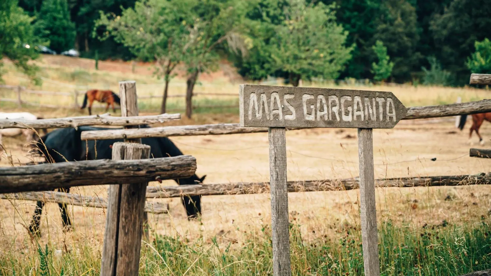 Casa Rural Mas Garganta La Pinya Séjour à la campagne