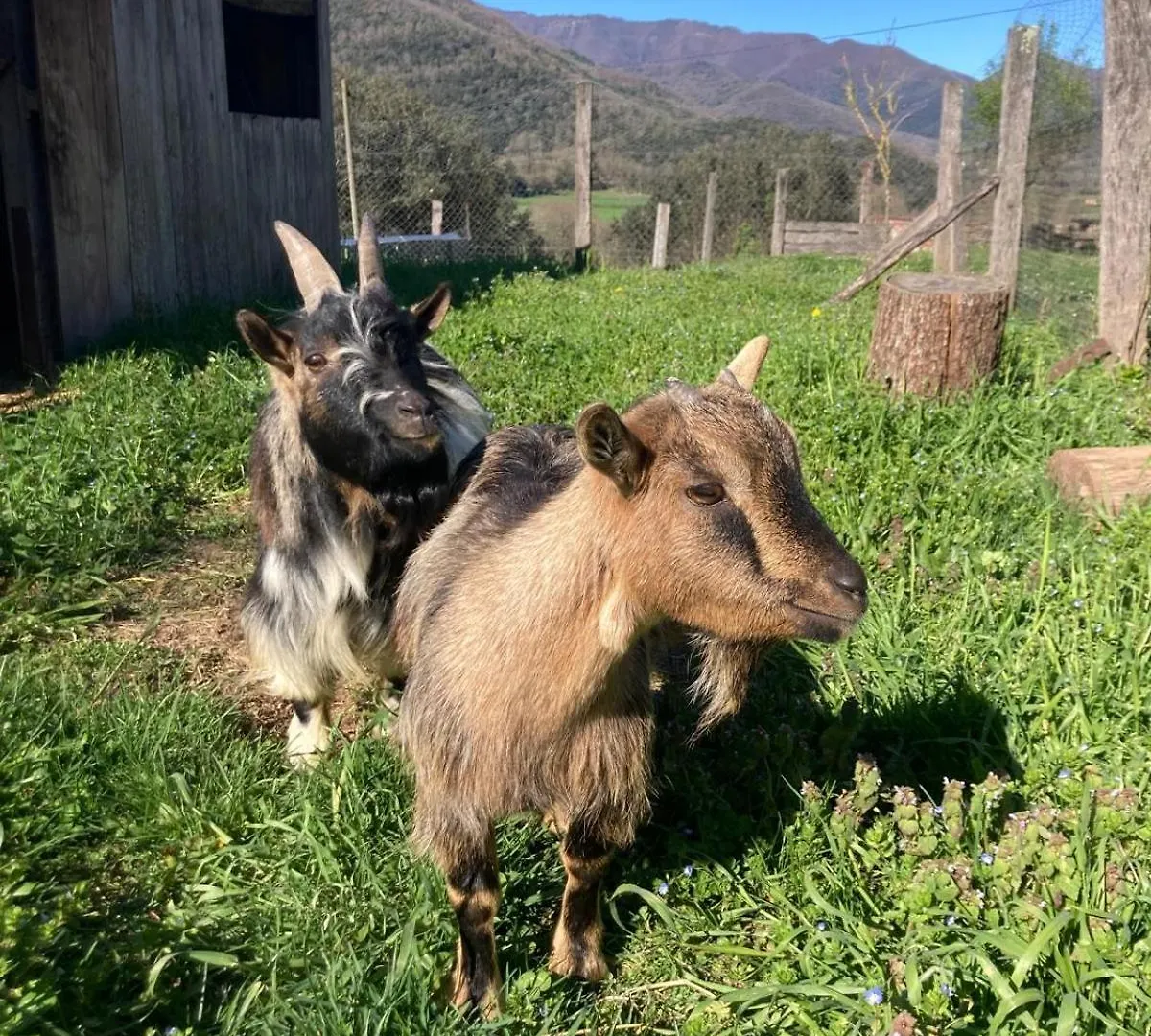 Casa Rural Mas Garganta La Pinya